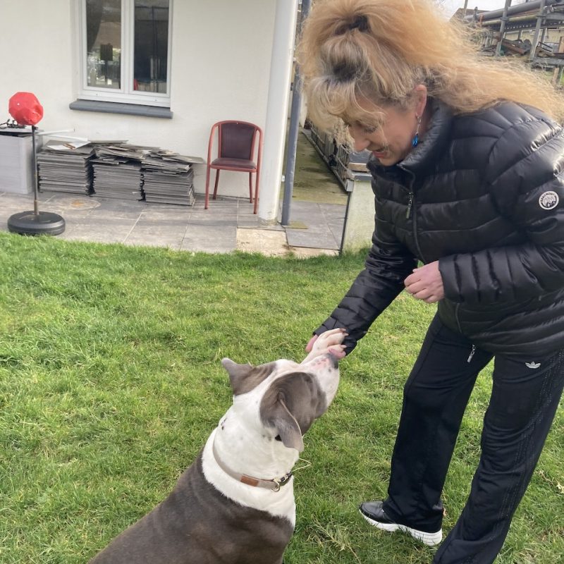 Isabelle Herrou - Éducatrice comportementaliste canine