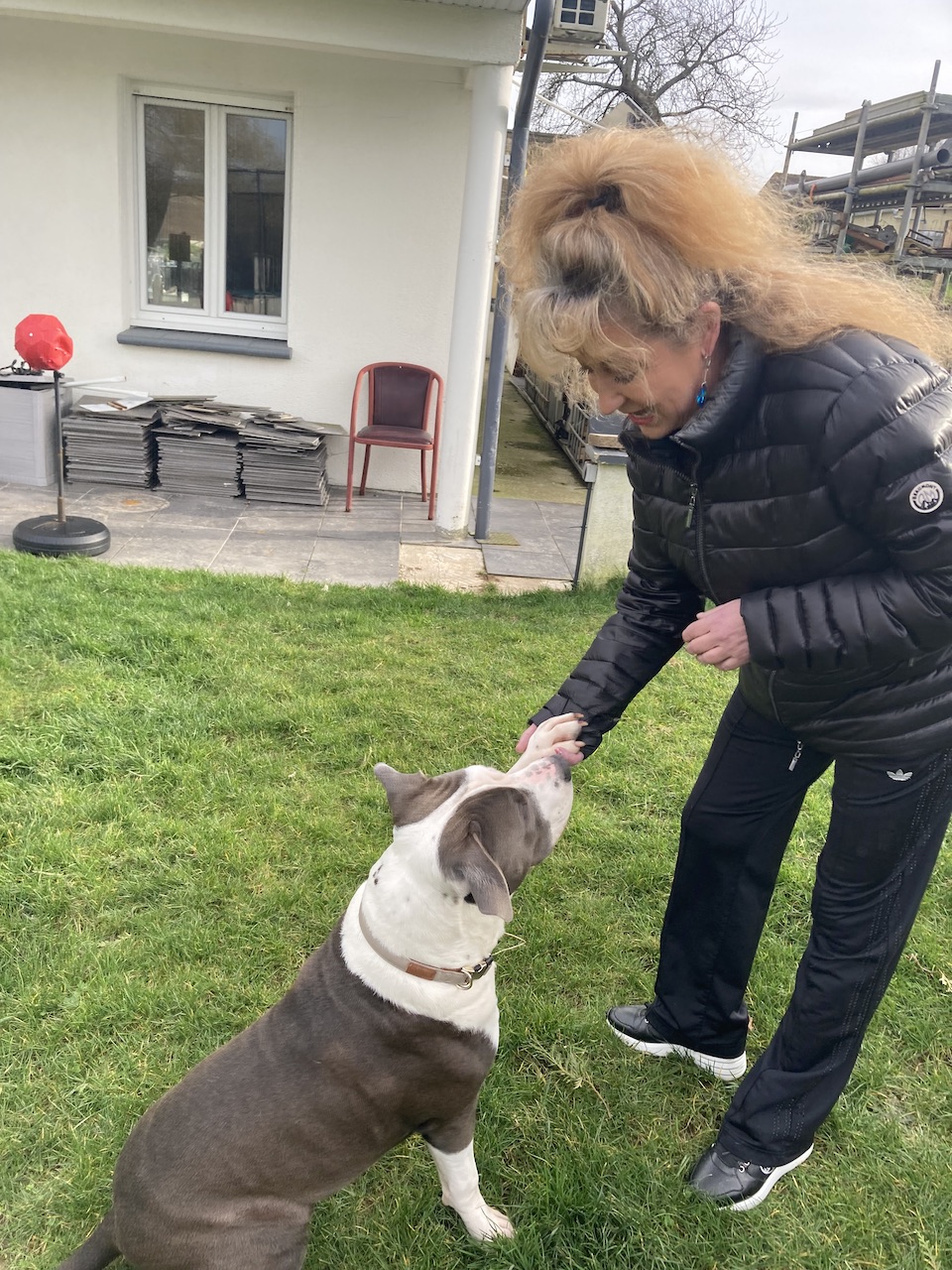 Isabelle Herrou - Éducatrice comportementaliste canine